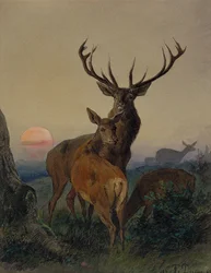 A Stag with a Deer in a Wooded Landscape at Sunset