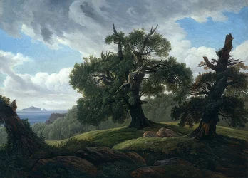Oaks by the Sea