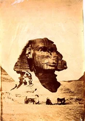 Sphinx at Giza
