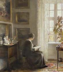 Reading by a Sunny Window