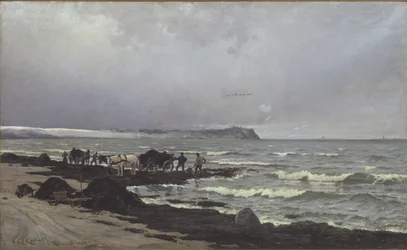 Loading Seaweed at Hornbæk Beach