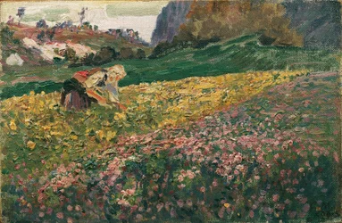 Girl in the Flower Meadow