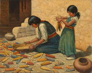 Drying Corn