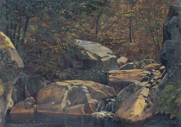 Forest Stream (Waterfall between Boulders)