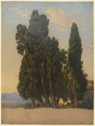 Cypresses in the Park of the Villa d