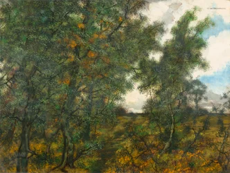 At the Edge of the Forest