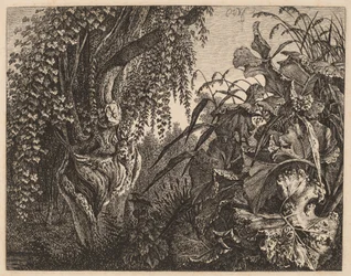 A Thicket; a Gnarled Willow Tree at Left, a Thicket of Vegetation at Right