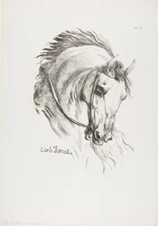 Horse