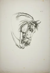 Detail of Horse