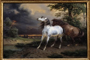 Horses Frightened by the Storm