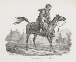Large Suite of Horses: Mounted Mamelucke