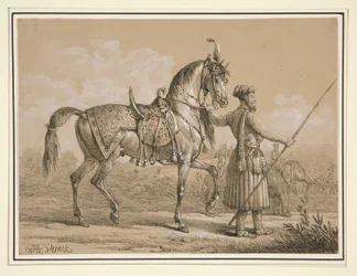 Mameluke and Arab Horse