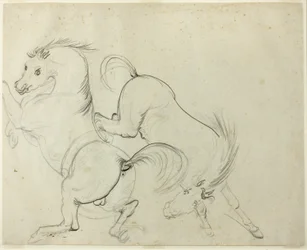 Two Horses Cavorting (recto); Man on a Kicking Horse (verso)