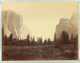 Up the Valley from the Foot of the Mariposa Trail, Yosemite, No. 9