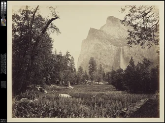 The Bridal Veil, 900 ft. Yosemite, c.1865