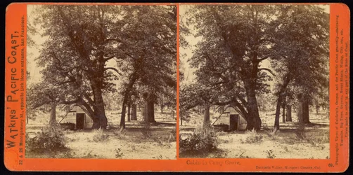 Cabin in Camp Grove, Yosemite Valley, Mariposa County, California