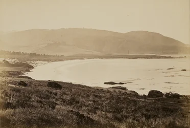[Coast View, Monterey]