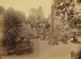 Monterey, California. Arizona Garden, Hotel Del Monte.
