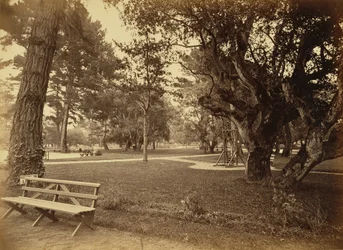 Monterey, California. Hotel Del Monte, Lawn View.