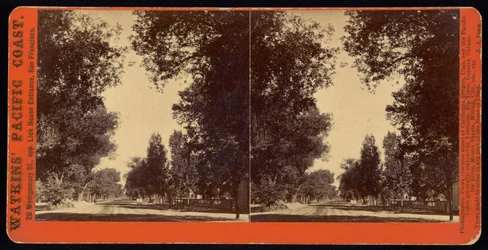 Tree-lined street view of San Gabriel, California
