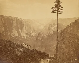 Yosemite Valley from Mariposa Trail