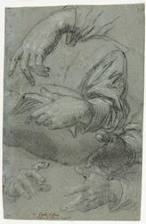 Studies of Hands (detail)