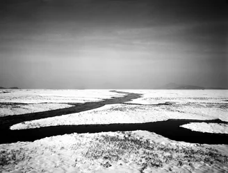 Forever at the Sea, 2012
