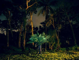 Painting in the Dark, 2014