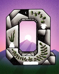 Nature During Quarantine