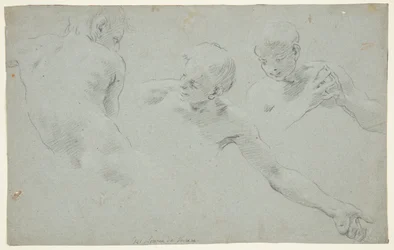 Figure Studies