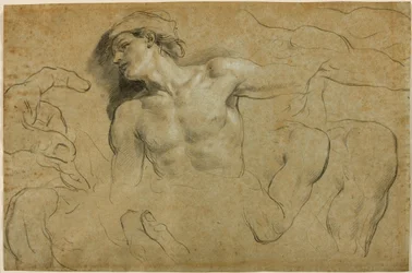 Studies of Hands, Shoulders and a Leg