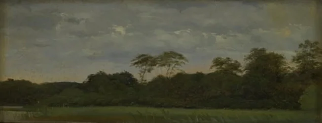 A Meadow by a Forest Lake