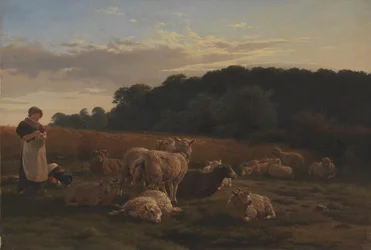 A Flock of Sheep. The Motif from Faxingeskoven near Nysø