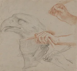 Study for an Eagle’s Head, Three Studies for a Hand with a Quill, and One Study for a Hand Holding a Book