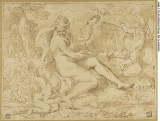 Study for the Origin of the Rose