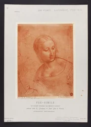 Study of a Female Bust, drawing by Leonardo da Vinci (1452-1519) from the collection of R. Accademia di Belle Arti in Venice; plate from the portfolio: "Fac-simile of the original drawings of classical masters existing in the R. Academia di Belle Arti in V