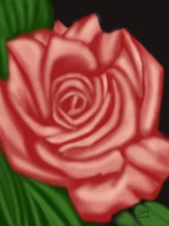 The Memory of a Rose