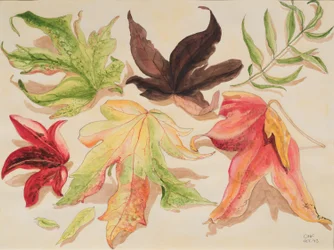 Autumn Leaves