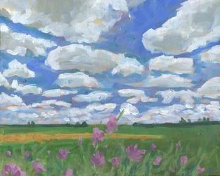Summer Sky Over Wildflowers