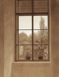 Window with a View of a Park