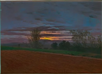 Plowed Field