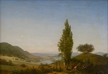The Summer