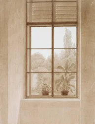 Window Looking over the Park