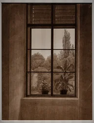Window with a View of a Park