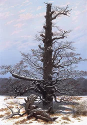 Winter Landscape (Bare Tree)