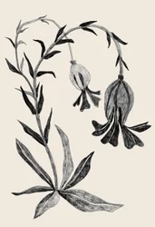 Elegant Botanical Bloom