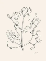 Holiday Mistletoe Line Art