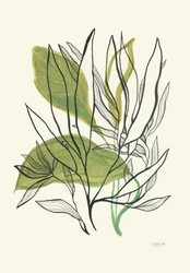 Modern Botanical Leaves
