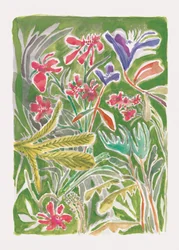 Vibrant Wild Garden