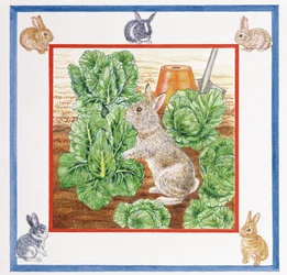 A Rabbit in the Cabbage Patch